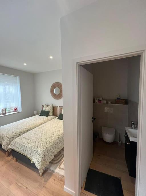 Colmar Centre - Le Schickele Apartment Luaran gambar