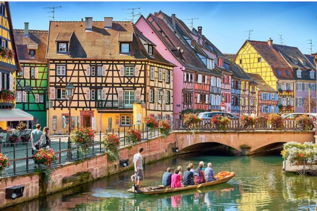 Colmar Centre - Le Schickele Apartment Luaran gambar