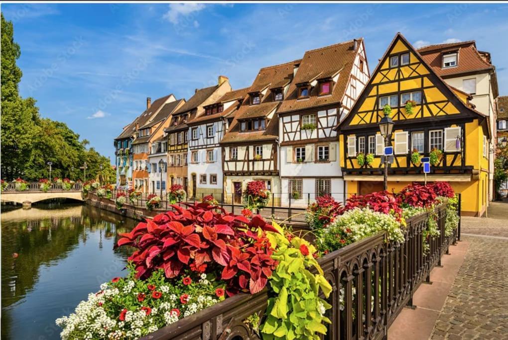 Colmar Centre - Le Schickele Apartment Luaran gambar
